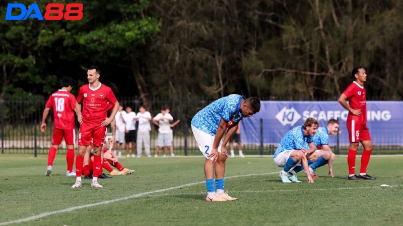 Lịch sử đối đầu Marconi Stallions vs Wollongong Wolves