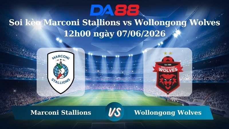 Nhận định soi kèo Marconi Stallions vs Wollongong Wolves 12h00 ngày 07/06/2026