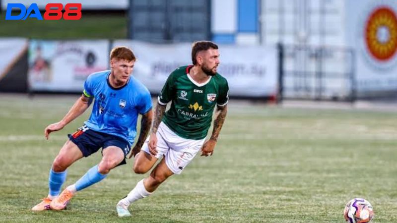 Lịch sử đối đầu SD Raiders vs Sydney FC