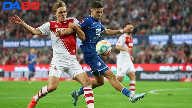 Lịch sử đối đầu FC Koln vs Hoffenheim