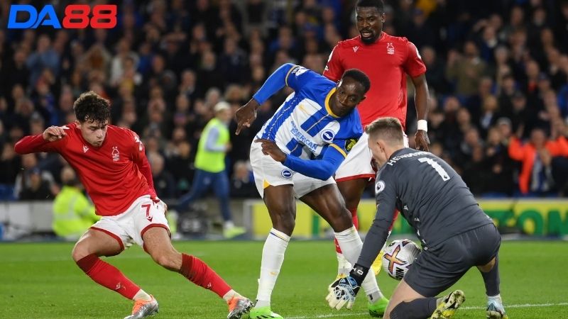 Lịch sử đối đầu Brighton vs Nottingham