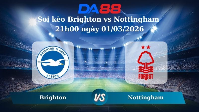 Nhận định soi kèo Brighton vs Nottingham 21h00 ngày 01/03/2026