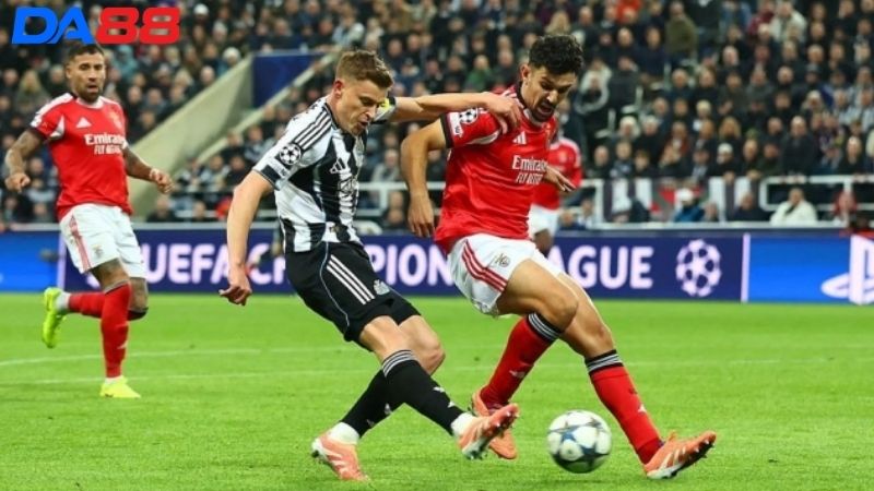 Lịch sử đối đầu Qarabag vs Newcastle United