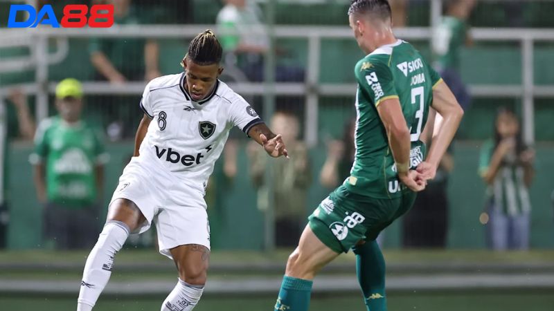 Lịch sử đối đầu Chapecoense vs Botafogo RJ