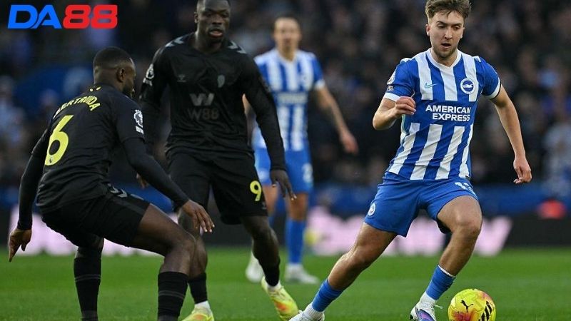 Lịch sử đối đầu Sunderland vs Brighton 