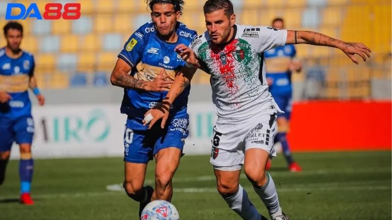 Lịch sử đối đầu Everton de Vina vs Palestino