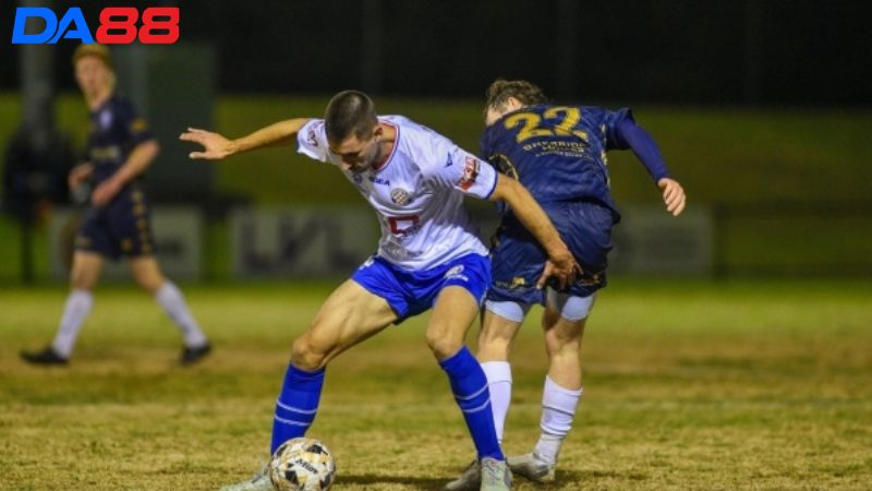 Lịch sử đối đầu Dandenong City vs Avondale Heights