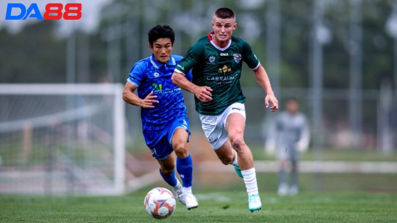 Lịch sử đối đầu Sydney Olympic vs SD Raiders