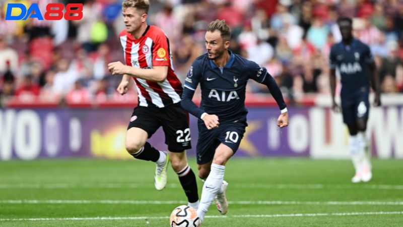 Lịch sử đối đầu Brentford vs Tottenham