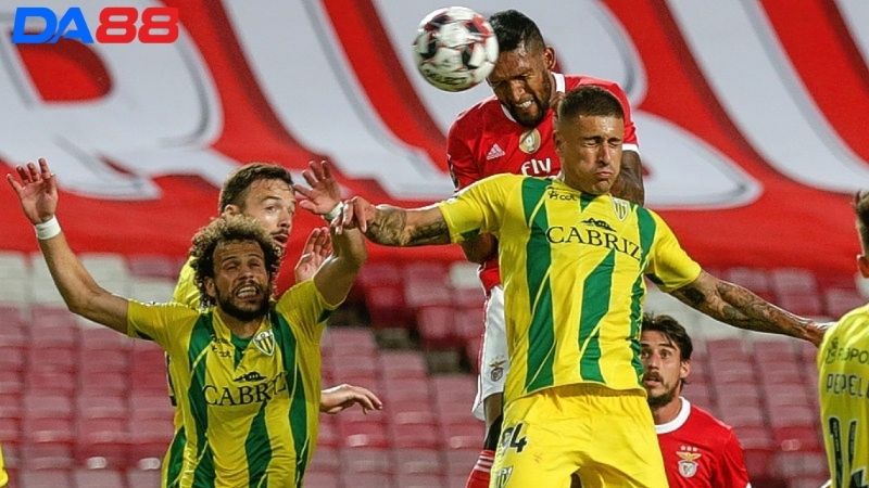 Lịch sử đối đầu Tondela vs Benfica