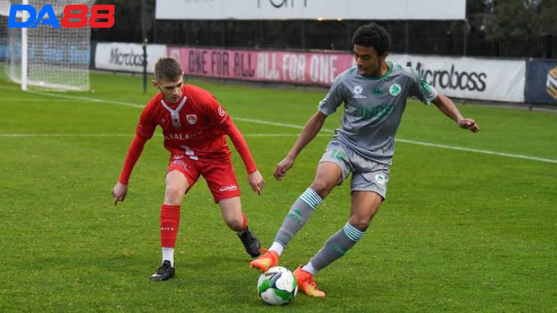 Phong độ của Hume City vs Green Gully