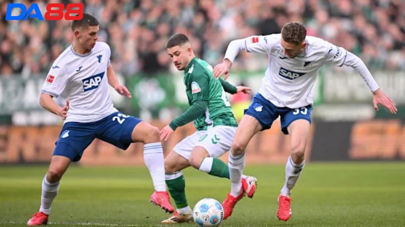 Lịch sử đối đầu Werder Bremen vs Hoffenheim