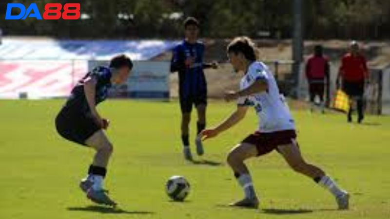 Lịch sử đối đầu Playford City vs Adelaide Comets