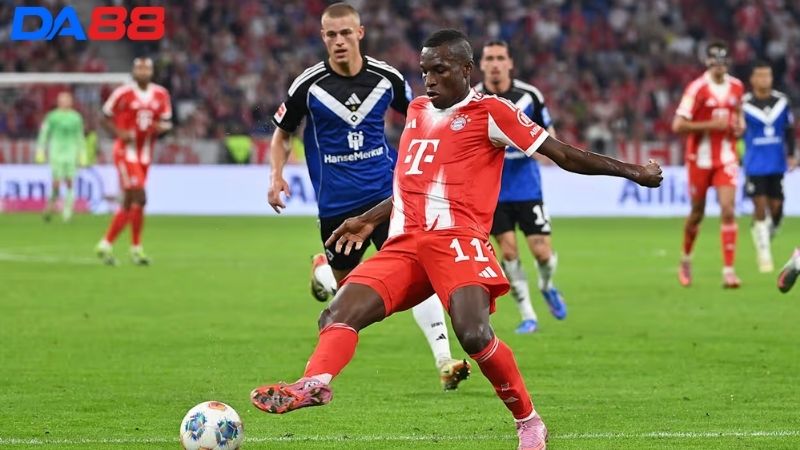 Lịch sử đối đầu Hamburg vs Bayern Munich