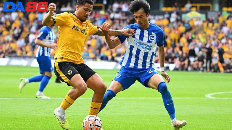 Lịch sử đối đầu Brighton vs Wolves
