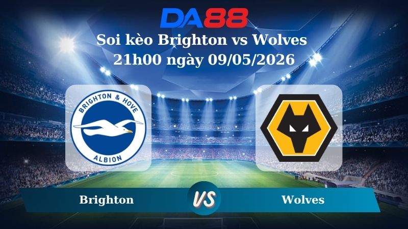 Nhận định soi kèo Brighton vs Wolves 21h00 ngày 09/05/2026