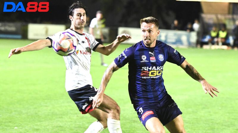 Lịch sử đối đầu Oakleigh Cannons vs Avondale Heights