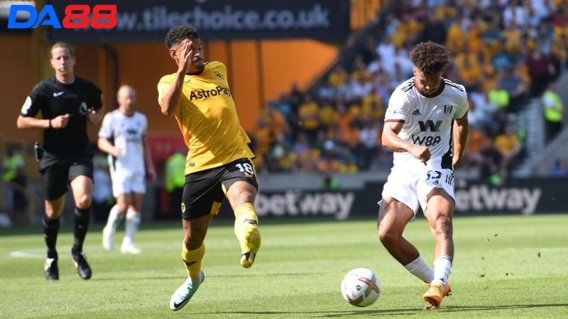 Lịch sử đối đầu Wolves vs Fulham