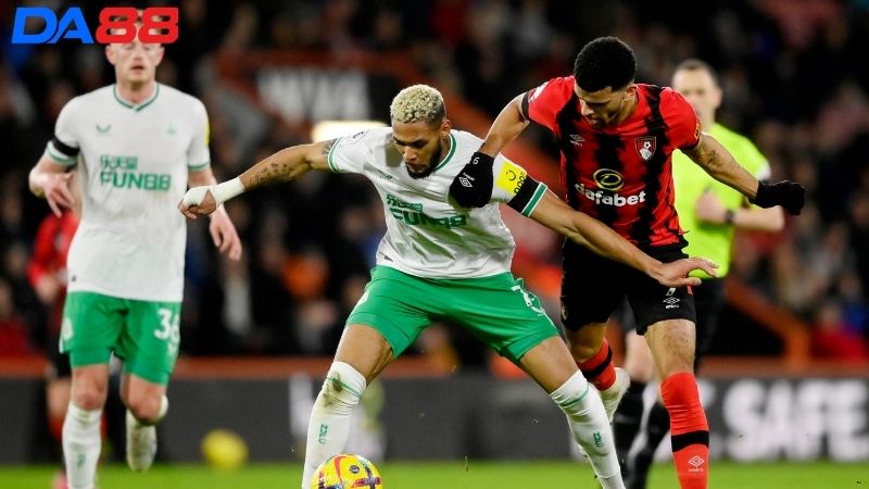 Lịch sử đối đầu Newcastle vs Bournemouth