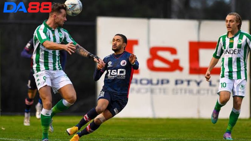 Phong độ của Green Gully vs Dandenong City