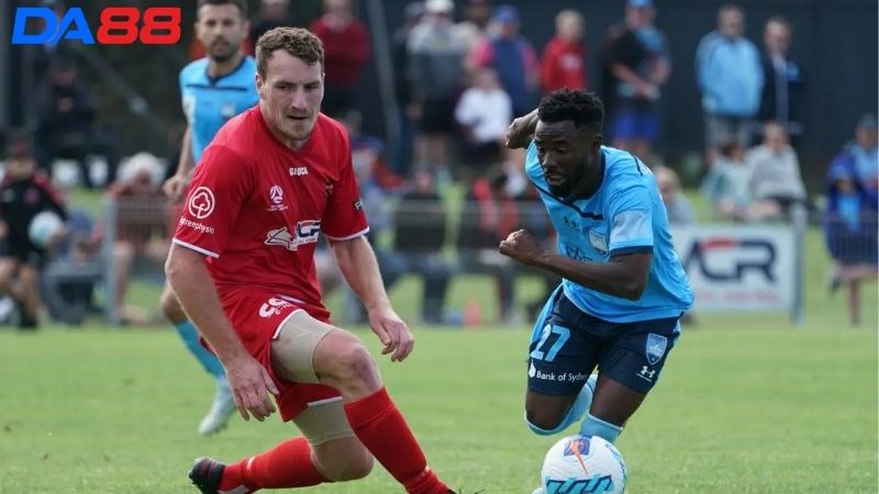 Phong độ của Wollongong Wolves vs Sydney FC II