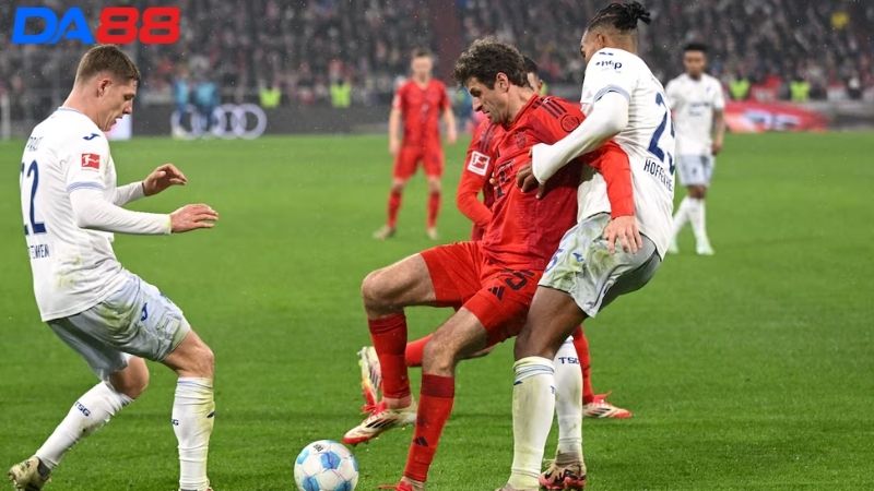 Lịch sử đối đầu Bayern Munich vs Hoffenheim
