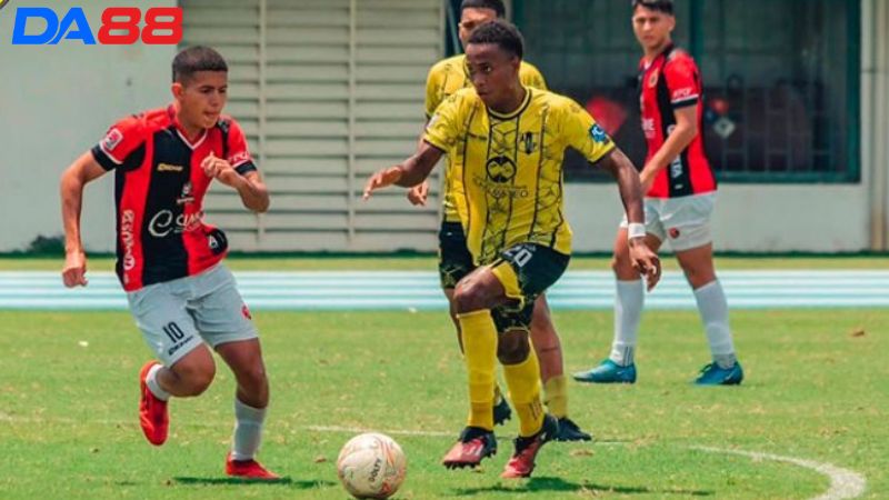 Lịch sử đối đầu Cucuta Deportivo vs Alianza Petrolera