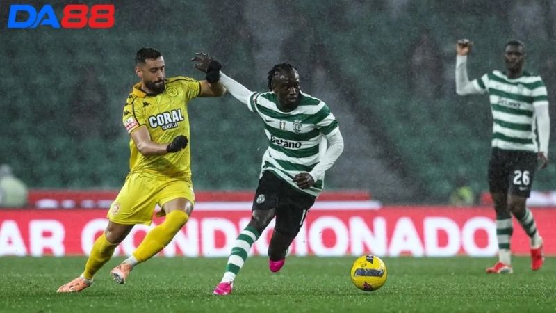 Lịch sử đối đầu Sporting Lisbon vs AVS