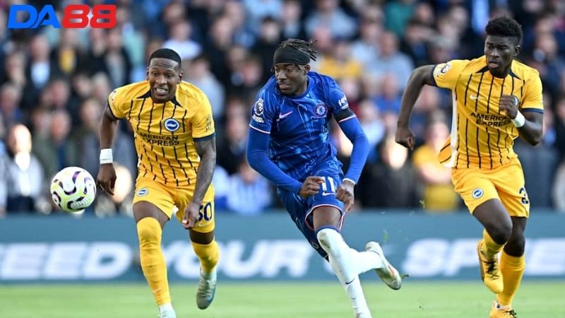 Lịch sử đối đầu Chelsea vs Brighton