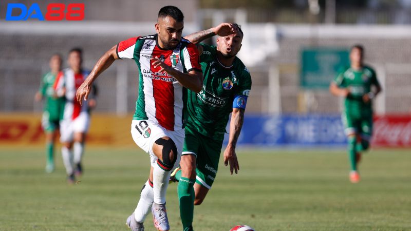 Lịch sử đối đầu Palestino vs A. Italiano