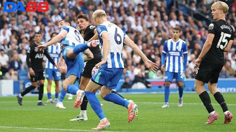 Lịch sử đối đầu Tottenham vs Brighton