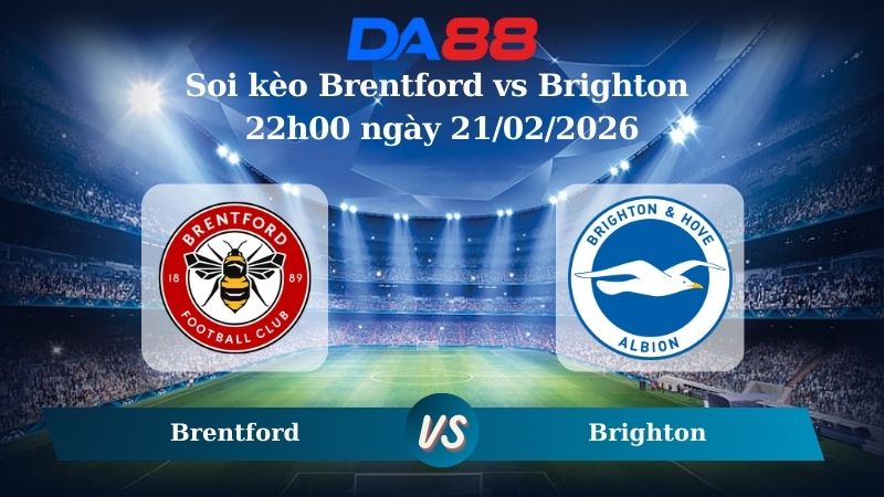 Nhận định soi kèo Brentford vs Brighton 22h00 ngày 21/02/2026