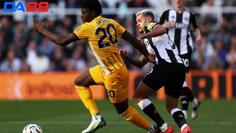 Lịch sử đối đầu Newcastle vs Brighton
