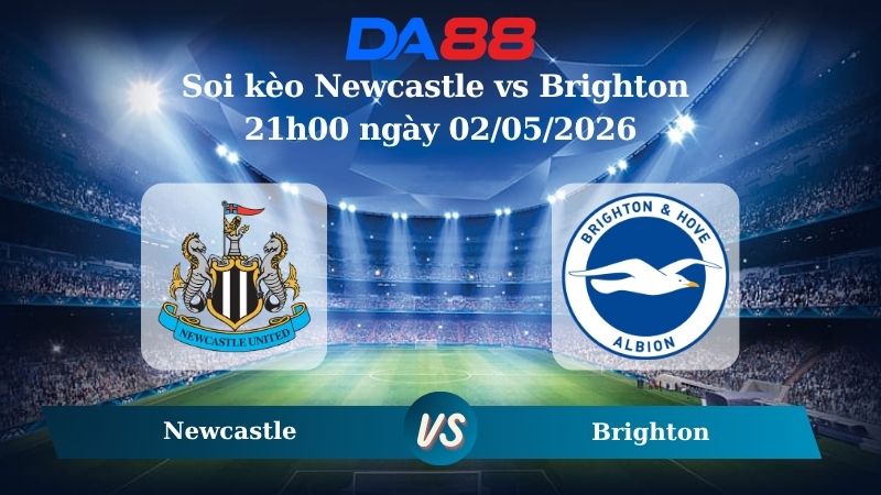 Nhận định soi kèo Newcastle vs Brighton 21h00 ngày 02/05/2026