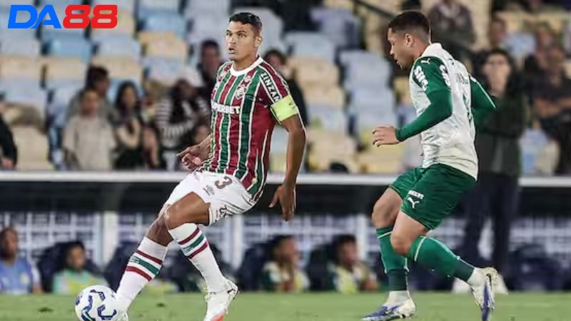 Lịch sử đối đầu Fluminense RJ vs Palmeiras SP