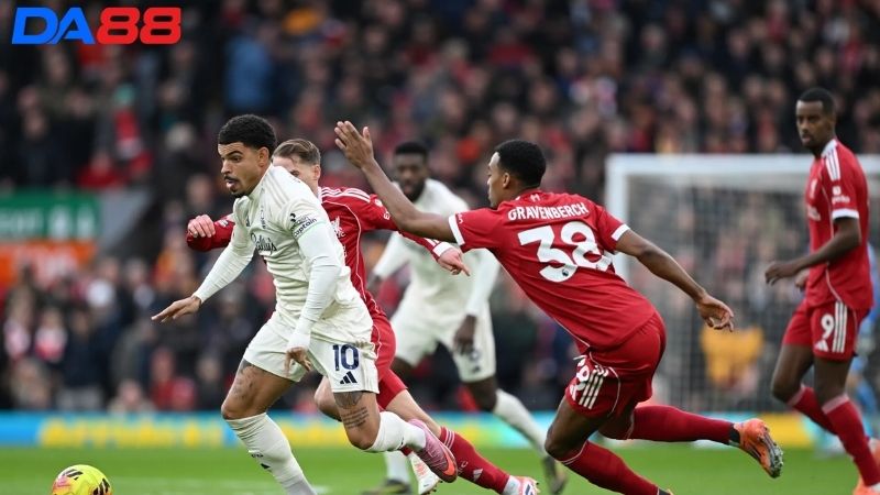Lịch sử đối đầu Nottingham vs Liverpool