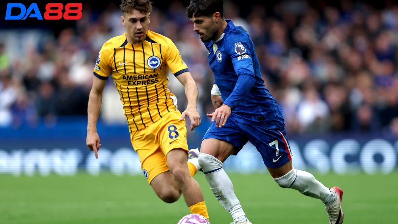 Lịch sử đối đầu Brighton vs Chelsea