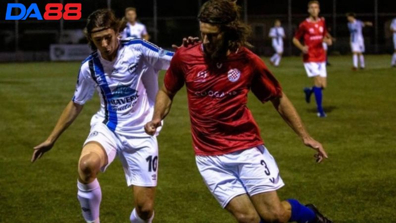 Lịch sử đối đầu Glenorchy Knights vs Kingborough Lions