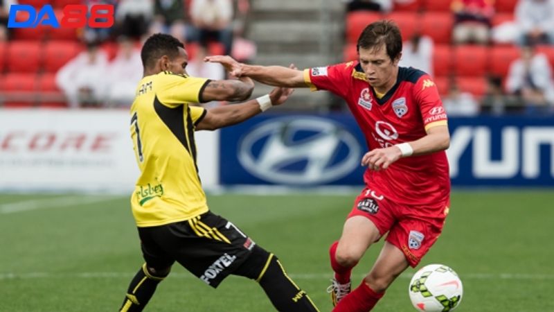 Lịch sử đối đầu Adelaide United vs Wellington Phoenix