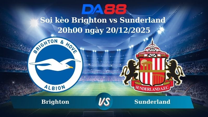 Nhận định soi kèo Brighton vs Sunderland 20h00 ngày 20/12/2025
