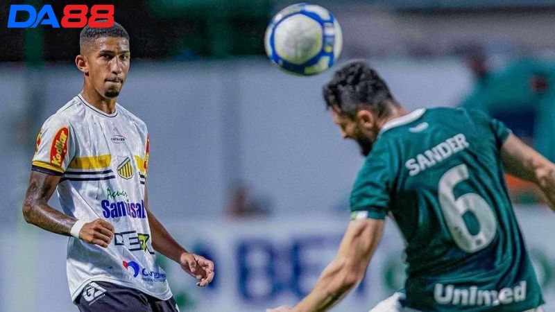 Lịch sử đối đầu Goias vs Novorizontino