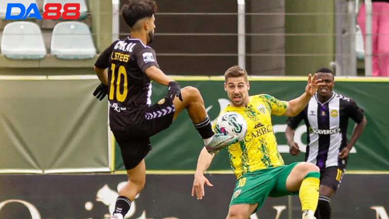 Lịch sử đối đầu Nacional da Madeira vs Estoril Praia