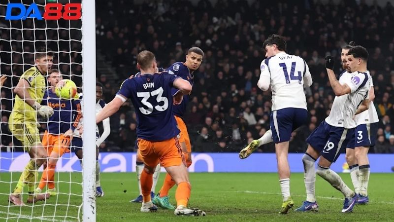 Lịch sử đối đầu Tottenham vs Newcastle