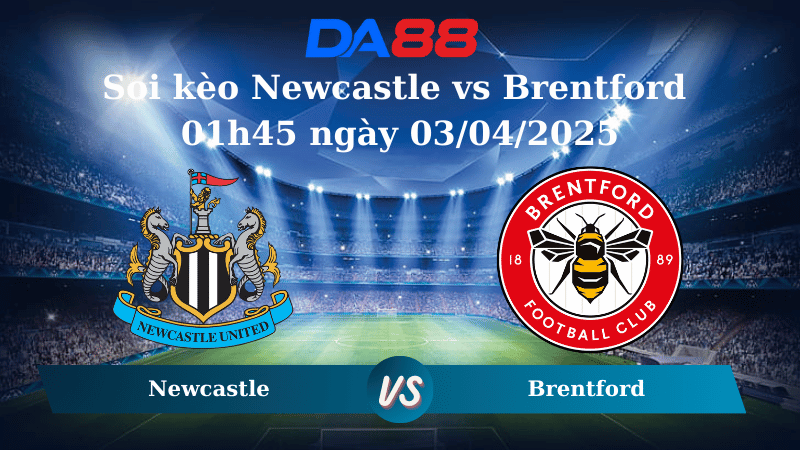 Nhận định soi kèo Newcastle vs Brentford 01h45 ngày 03/04/2025 - Ngoại hạng Anh  DA88