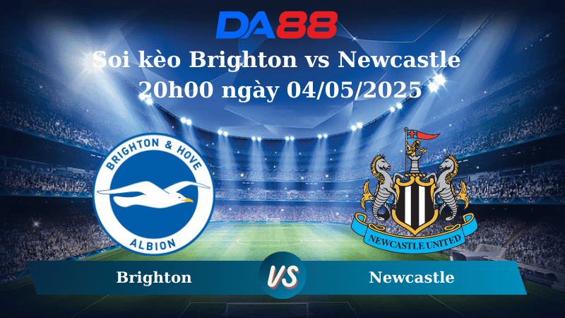 Nhận định soi kèo Brighton vs Newcastle 20h00 ngày 04/05/2025 – Ngoại hạng Anh DA88
