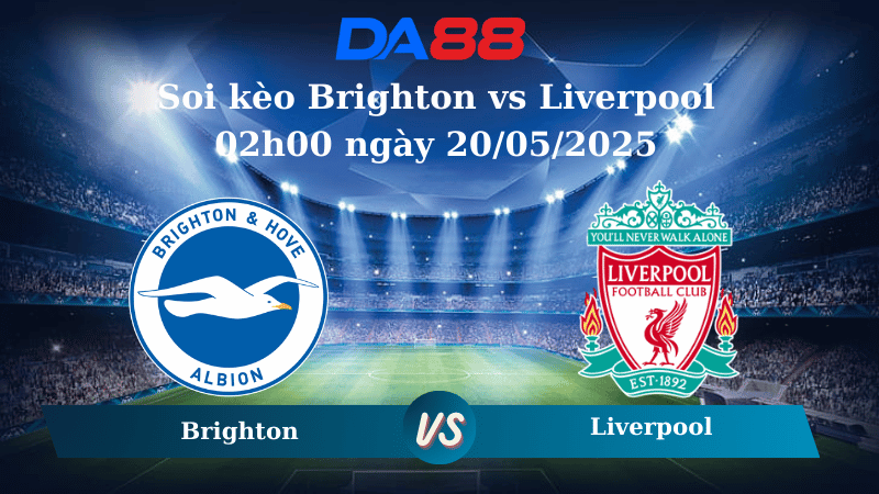Nhận định soi kèo Brighton vs Liverpool 02h00 ngày 20/05/2025 - Ngoại hạng Anh DA88