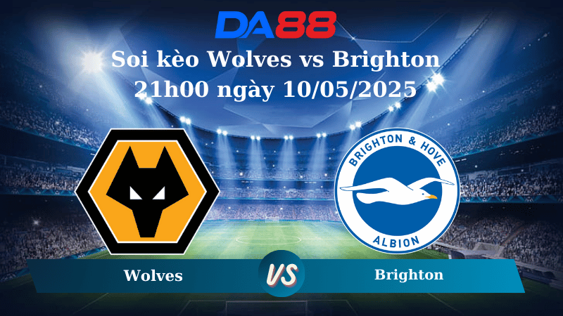 Nhận định soi kèo Wolves vs Brighton 21h00 ngày 10/05/2025 – Ngoại Hạng Anh DA88