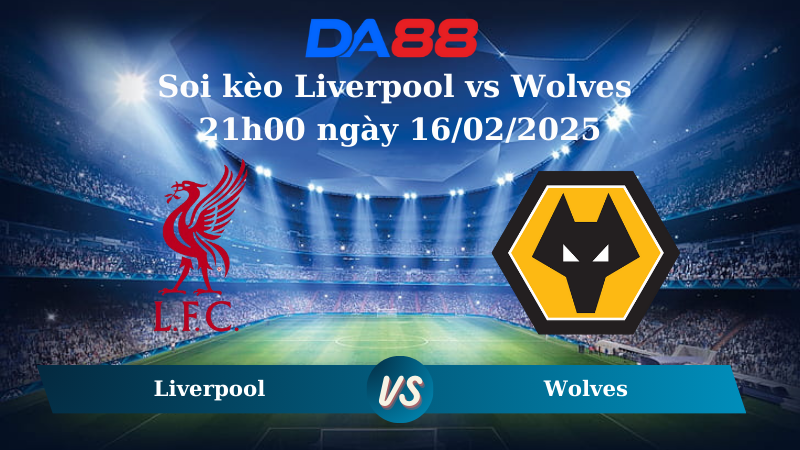 Nhận định soi kèo Liverpool vs Wolves 21h00 ngày 16/02/2025 – Ngoại Hạng Anh DA88